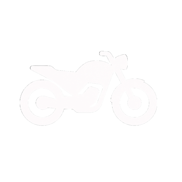 MotoVision